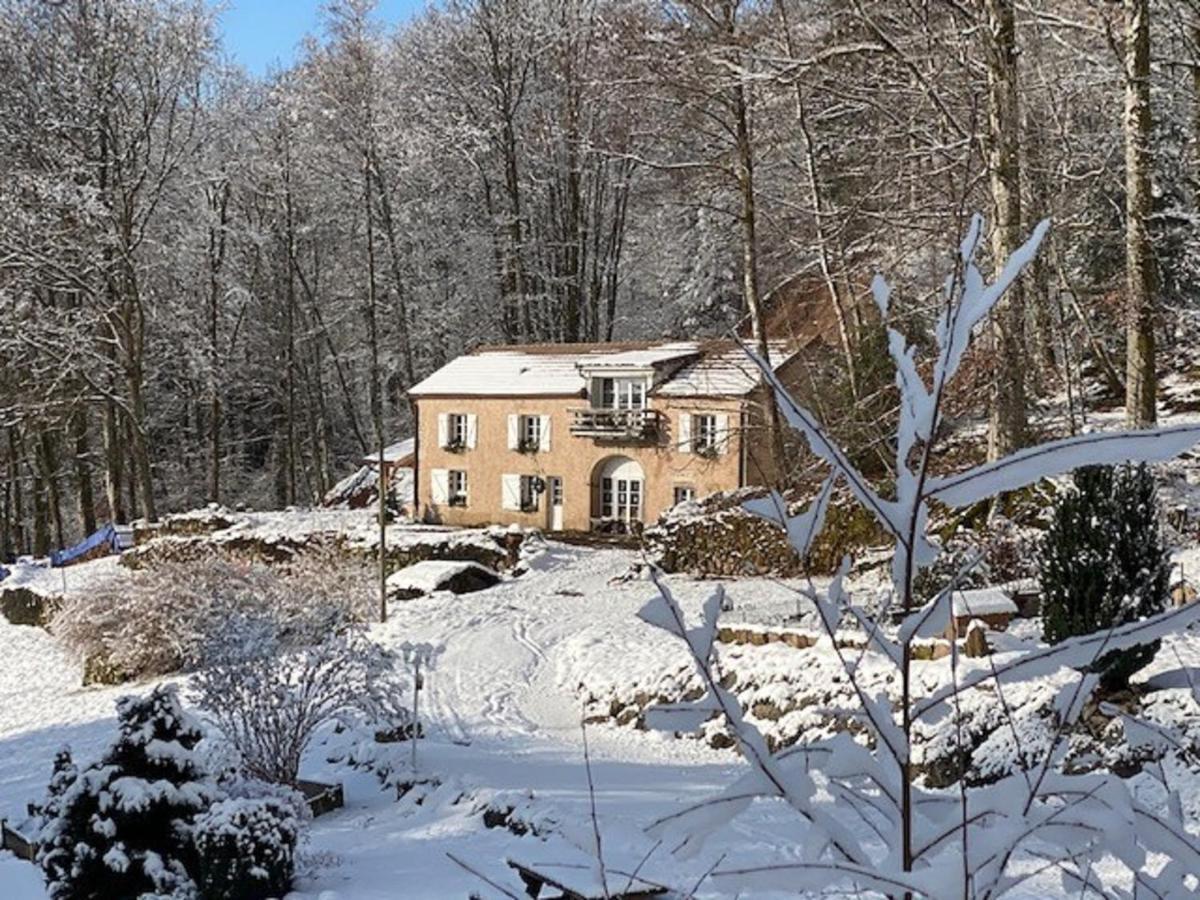 Gite Du Bois Des Hauts Les Mille Etangs La Lanterne-et-les-Armonts Kültér fotó